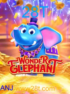 WonderElephant